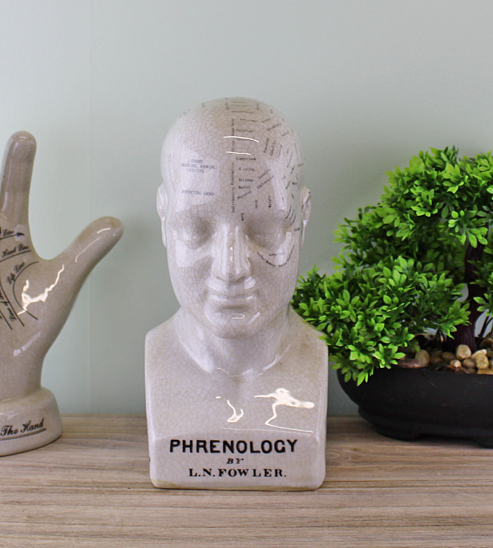 Medium Ceramic Phrenology Head, 25cm Medium Ceramic Phrenology Head, 25cm