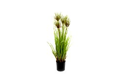 Artificial Green Papyrus Plant 65cm Artificial Green Papyrus Plant 65cm