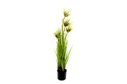 Artificial Green Papyrus Plant 95cm Artificial Green Papyrus Plant 95cm