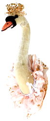 Swan Princess Wall Decoration 29cm Swan Princess Wall Decoration 29cm
