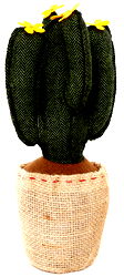 Dark Green Cactus Doorstop 34cm Dark Green Cactus Doorstop 34cm