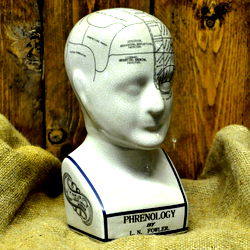 Ceramic Phrenology Head 20cm Ceramic Phrenology Head 20cm