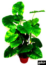 Artificial X-Large 105cm Taro Plant Artificial X-Large 105cm Taro Plant