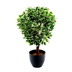 Artificial Variegated Ficus Ball 65cm Artificial Variegated Ficus Ball 65cm