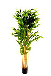 Artificial 6ft Bamboo Tree