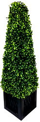 Artificial 81cm Boxwood Tower Artificial 81cm Boxwood Tower