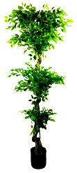 Artificial Ficus Leaf Topiary Mini Leaves 175cm Artificial Ficus Leaf Topiary Mini Leaves 175cm
