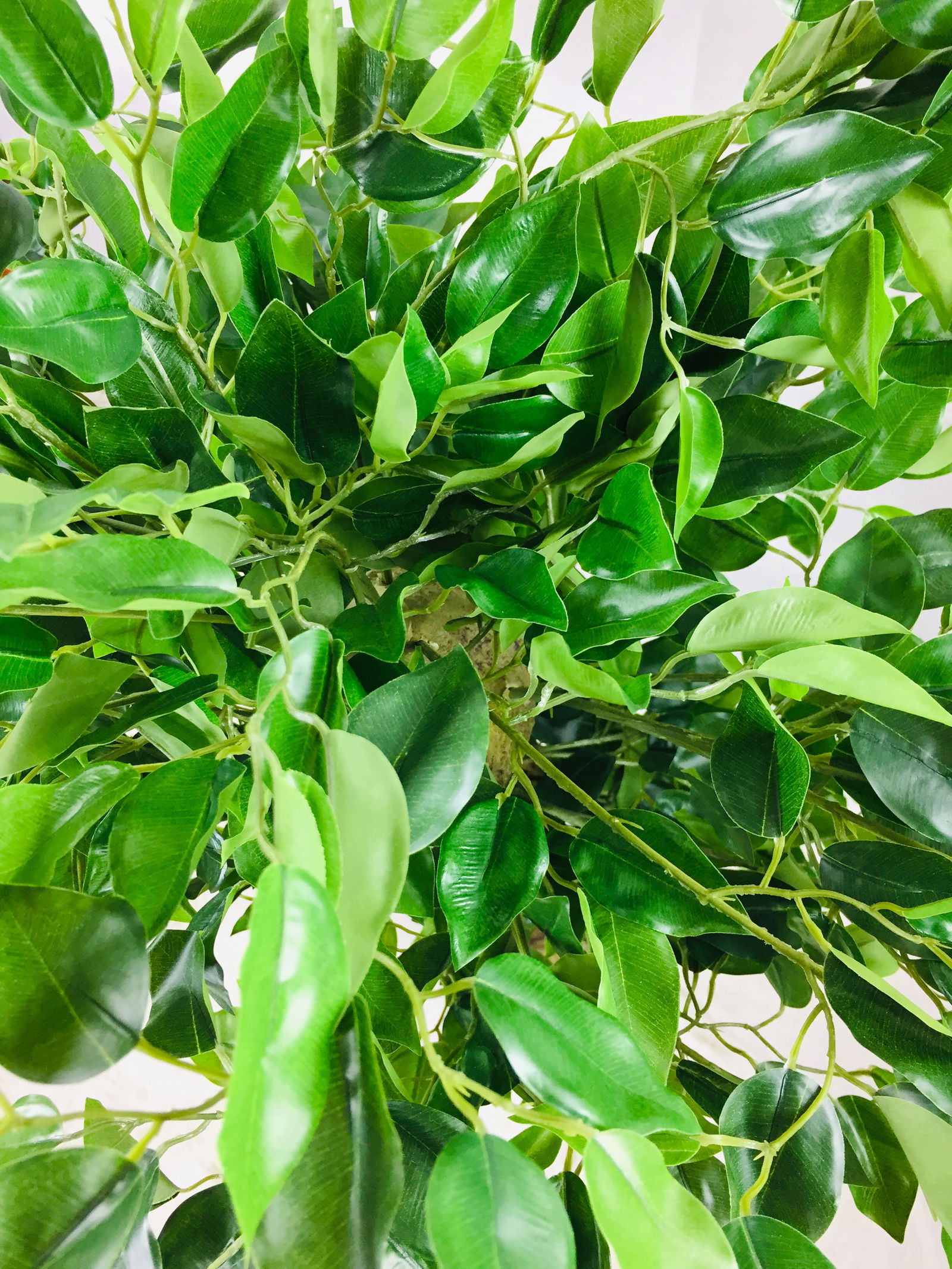 Artificial Ficus Tree With Twisted Trunk 137cm Artificial Ficus Tree With Twisted Trunk 137cm