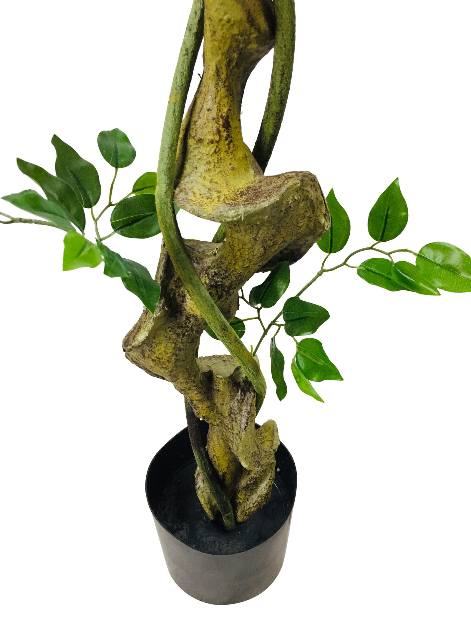 Artificial Ficus Tree With Twisted Trunk 137cm Artificial Ficus Tree With Twisted Trunk 137cm