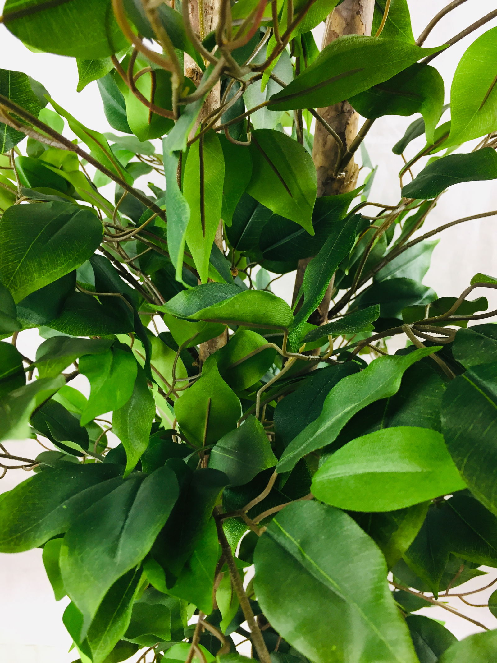Artificial Ficus Tree With Pot 1.8m Artificial Ficus Tree With Pot 1.8m