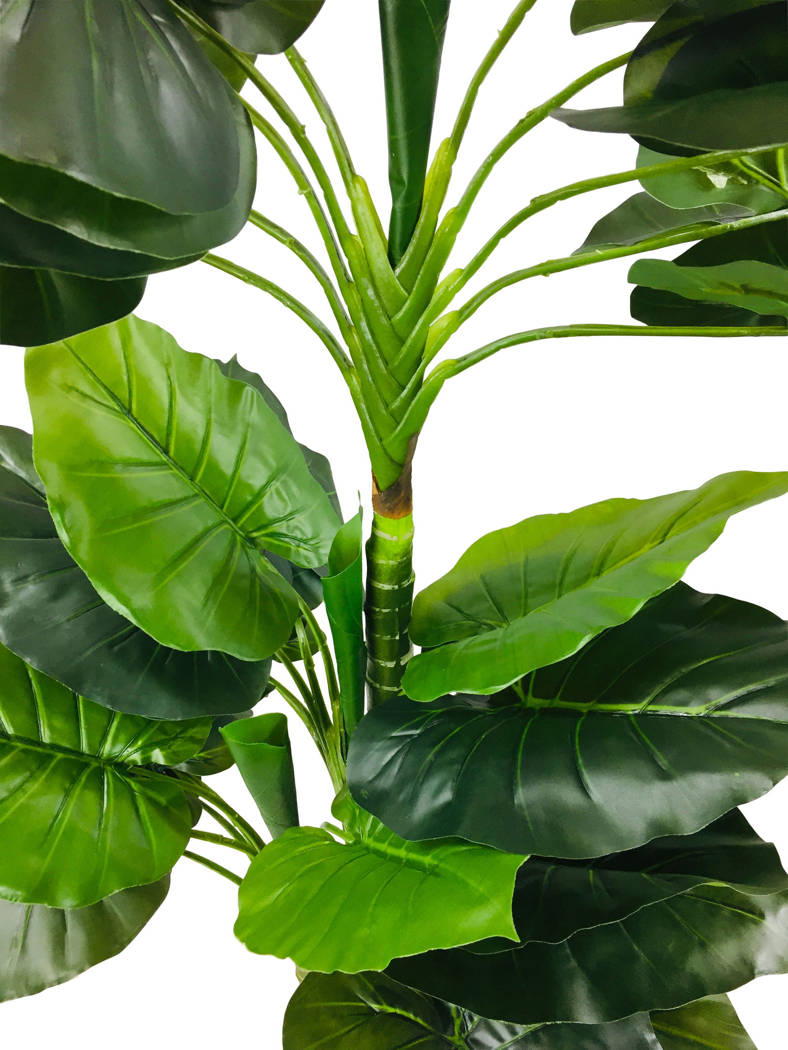 Artificial Taro Tree With 3 Trunks 150cm Artificial Taro Tree With 3 Trunks 150cm