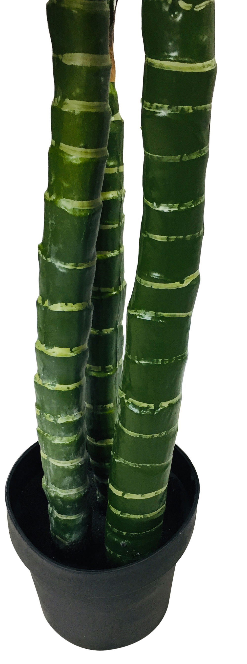 Artificial Taro Tree With 3 Trunks 150cm Artificial Taro Tree With 3 Trunks 150cm