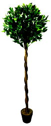Artificial Pyramid Bay Tree 162cm Artificial Pyramid Bay Tree 162cm