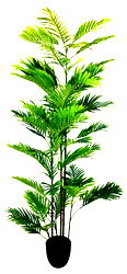 Artificial Palm Tree 200cm Artificial Palm Tree 200cm