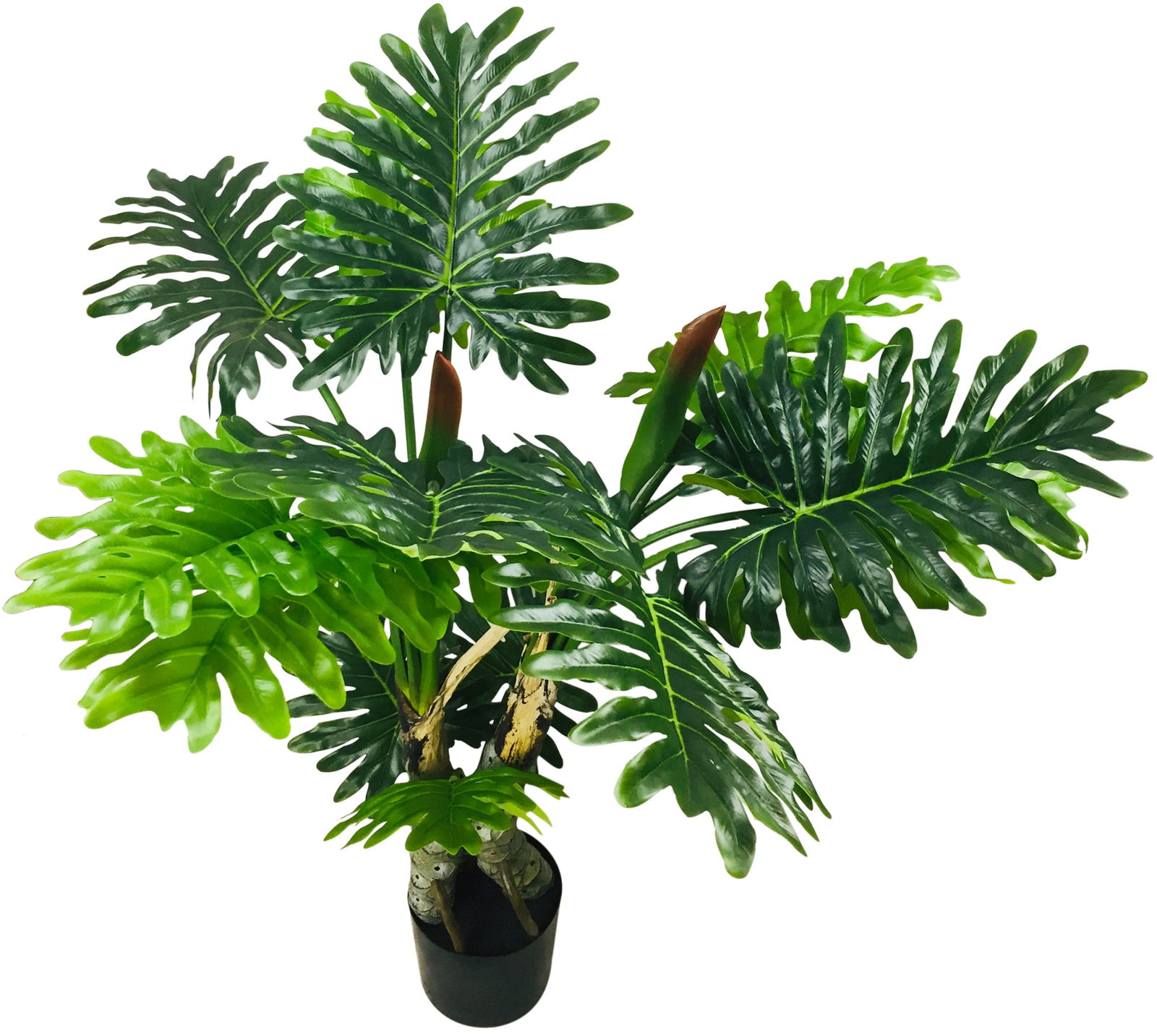 Artificial Philodendron Tree, Spot Stems 135cm Artificial Philodendron Tree, Spot Stems 135cm