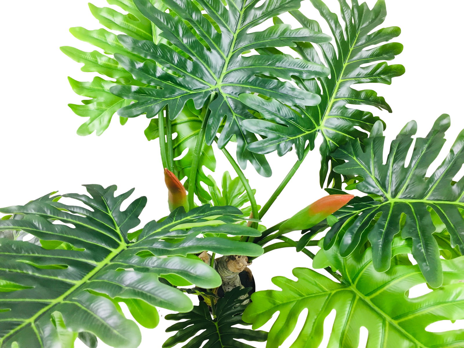 Artificial Philodendron Tree, Spot Stems 135cm Artificial Philodendron Tree, Spot Stems 135cm