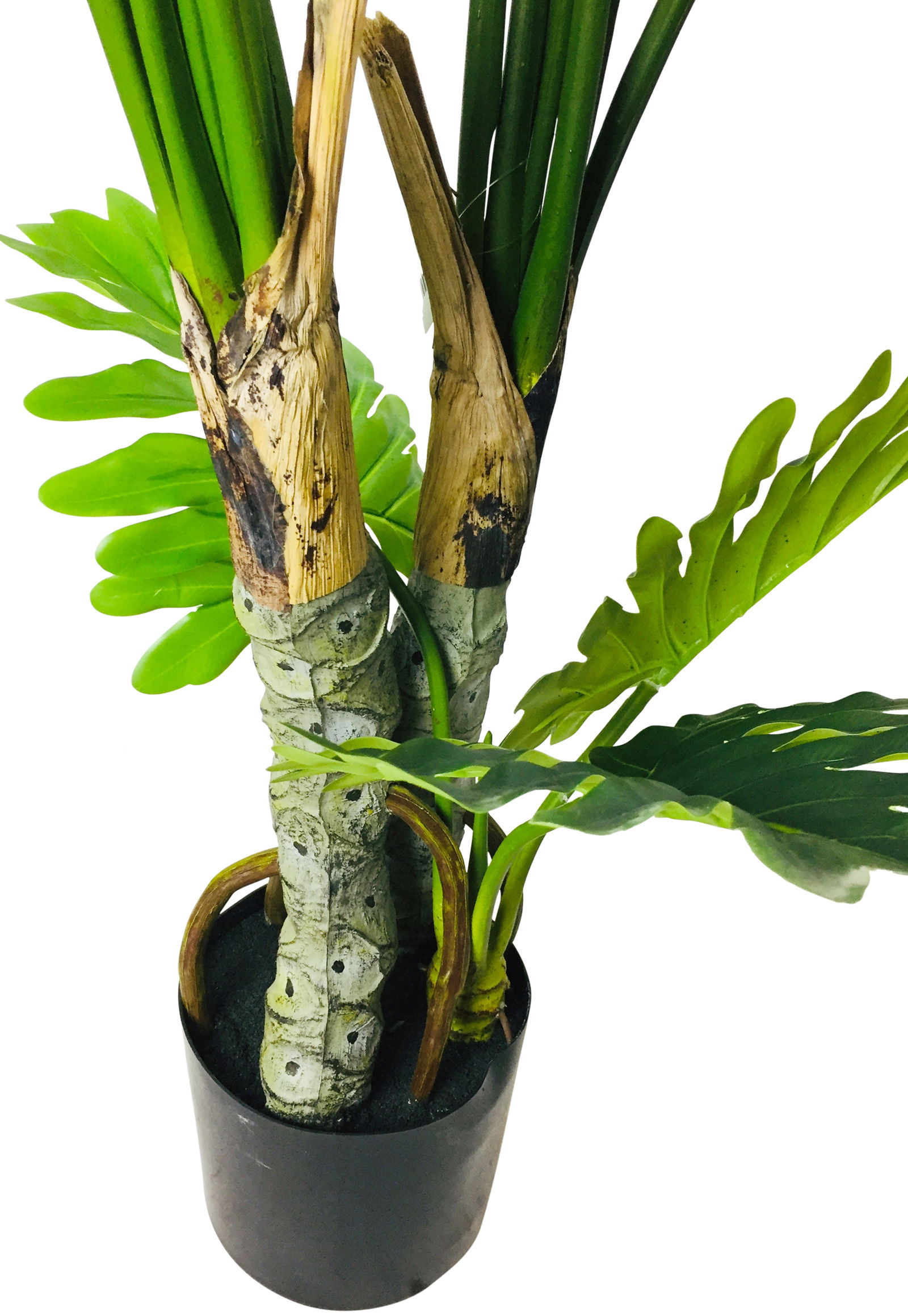 Artificial Philodendron Tree, Spot Stems 135cm Artificial Philodendron Tree, Spot Stems 135cm