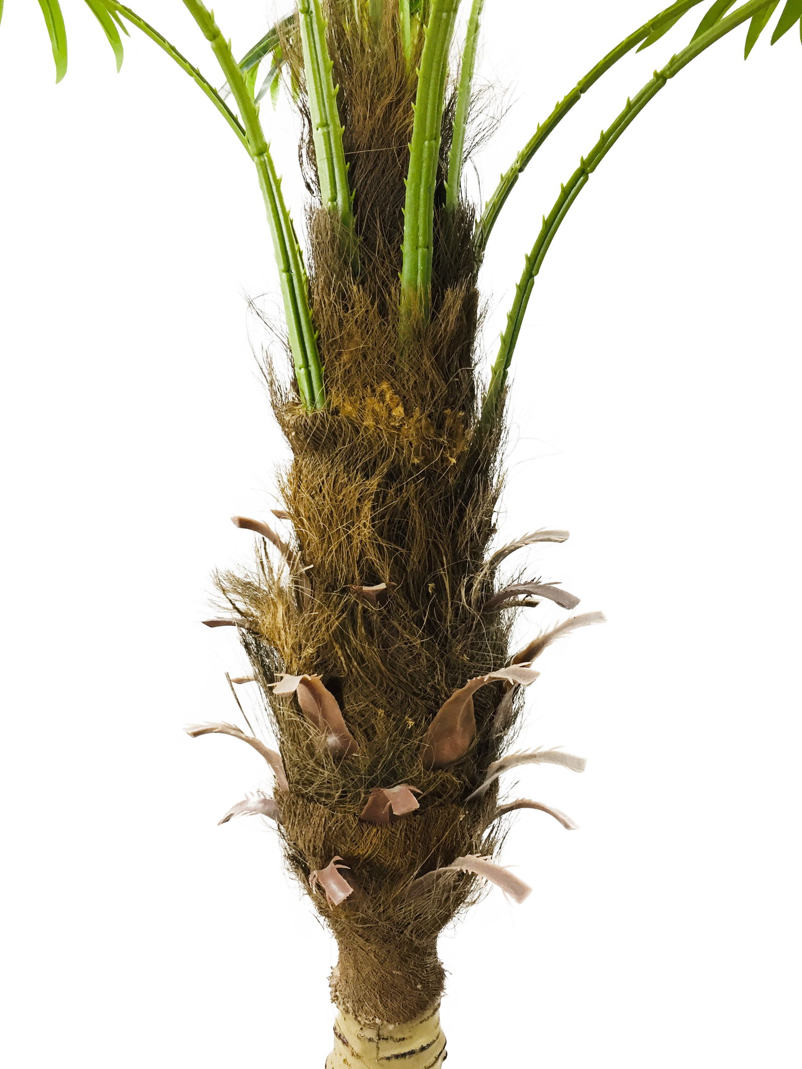 Artificial Fan Palm Tree 150cm Artificial Fan Palm Tree 150cm