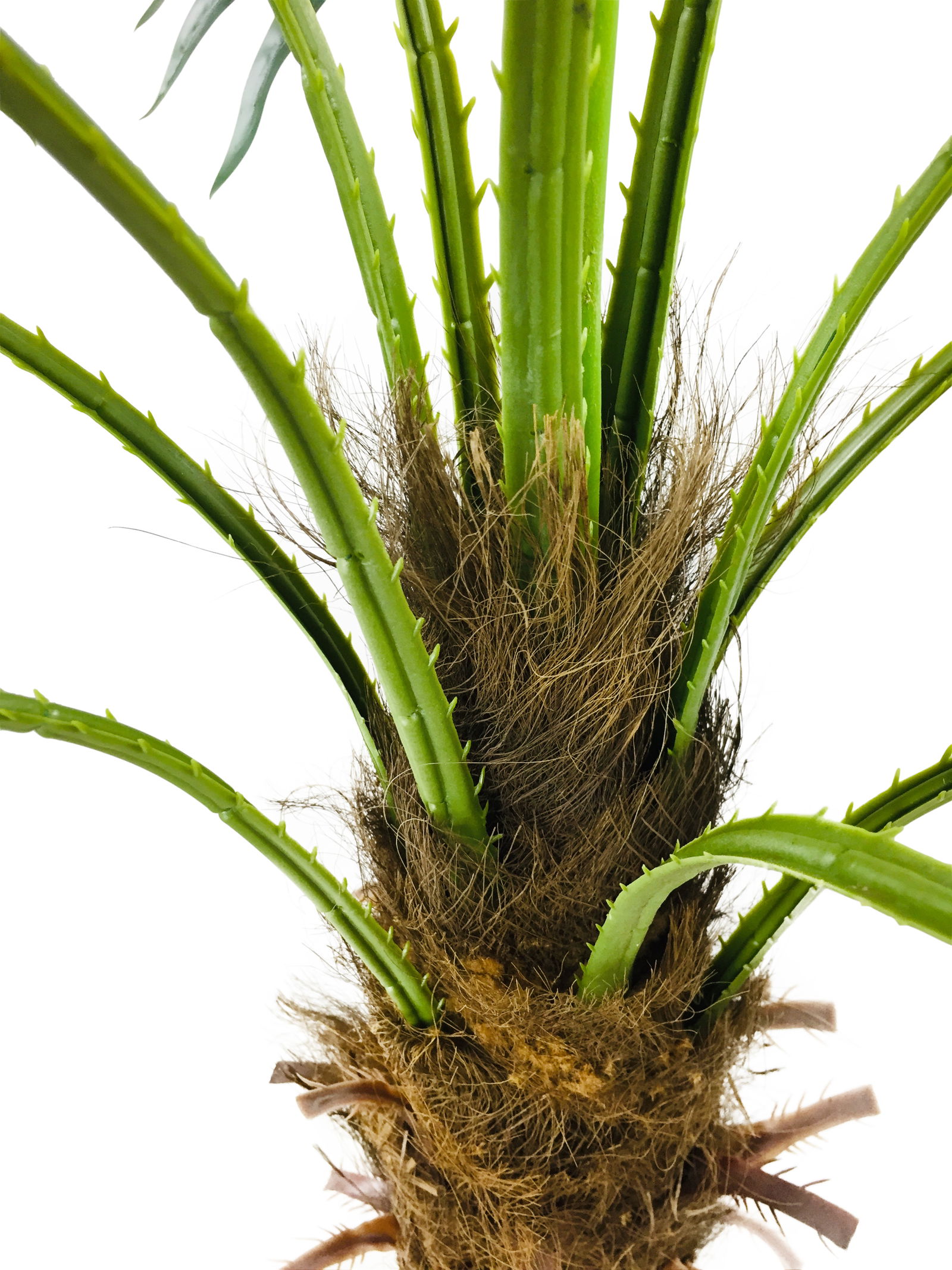 Artificial Fan Palm Tree 150cm Artificial Fan Palm Tree 150cm