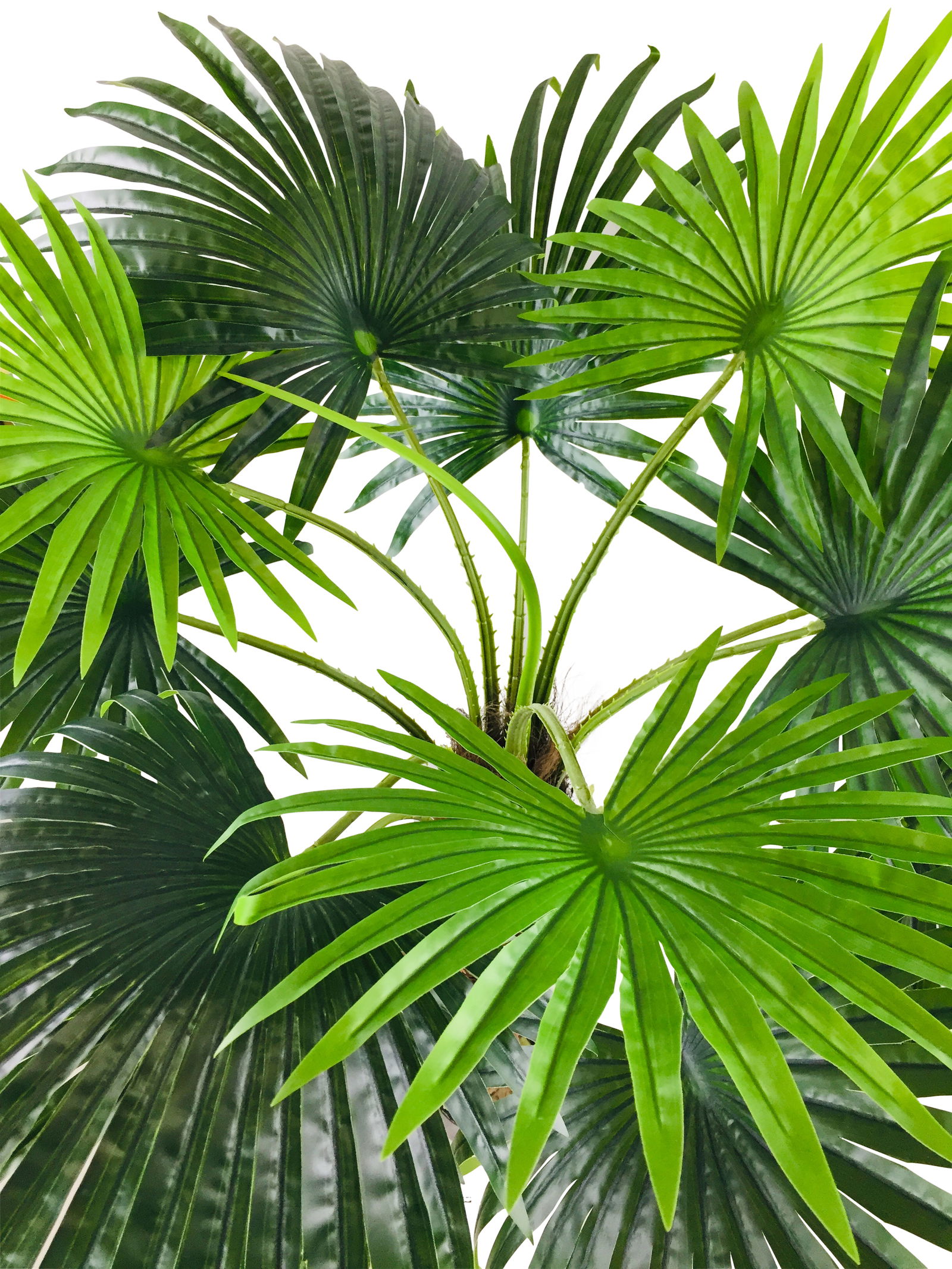 Artificial Fan Palm Tree 150cm Artificial Fan Palm Tree 150cm