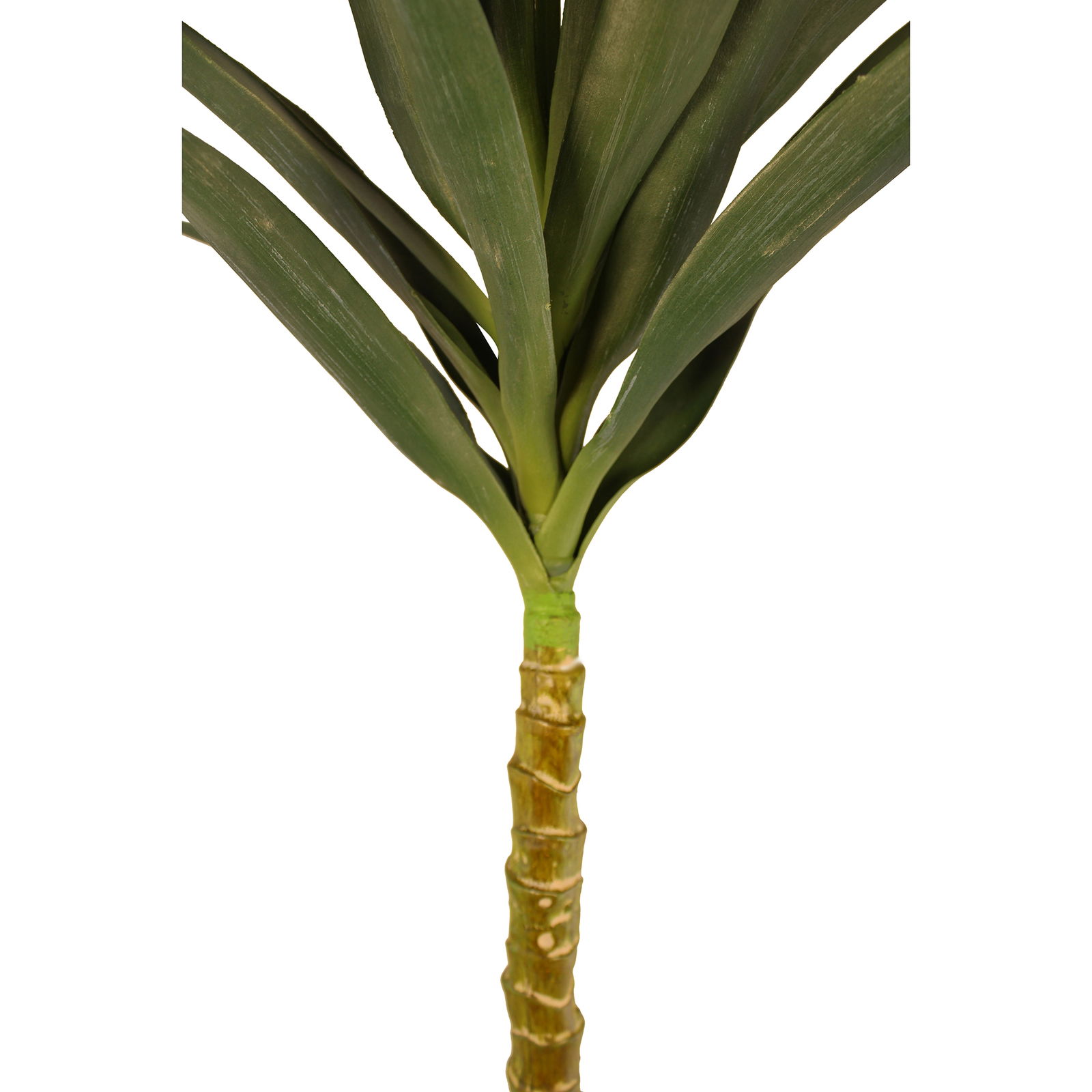 Artificial Single Trunk Yucca Tree, 100cm Artificial Single Trunk Yucca Tree, 100cm