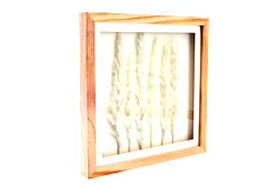 White Pampas In Square Frame 31cm White Pampas In Square Frame 31cm