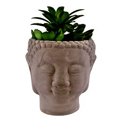 Trio of Faux Succulents in Buddha Head Cement Pot Trio of Faux Succulents in Buddha Head Cement Pot
