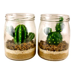 Set of 2 Cacti Tea Lights in Glass Jars Set of 2 Cacti Tea Lights in Glass Jars