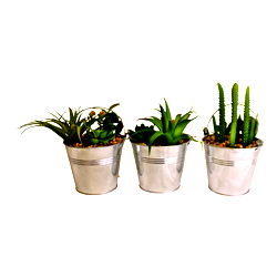 Set of 3 Faux Succulents In Tin Buckets Set of 3 Faux Succulents In Tin Buckets