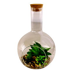 Medium Faux Succulent In Glass Terrarium Medium Faux Succulent In Glass Terrarium
