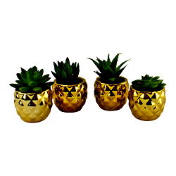Set of 4 Miniature Succulents In Gold Geometric Pots Set of 4 Miniature Succulents In Gold Geometric Pots