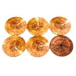 Set of Six Bark Design Coasters Set of Six Bark Design Coasters
