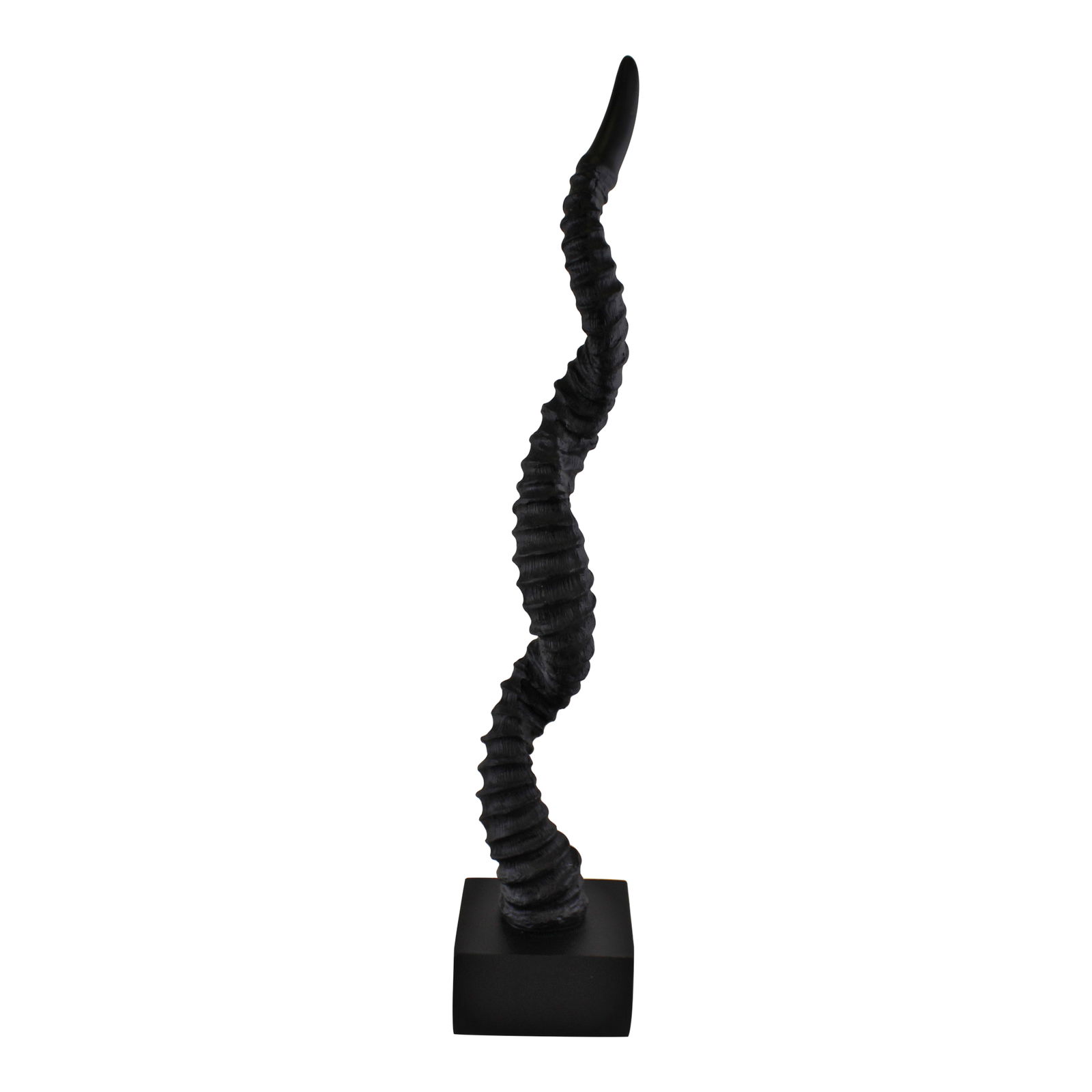 Antelope Horn Sculpture, 50cm Antelope Horn Sculpture, 50cm