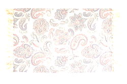 Paisley Rug Paisley Rug