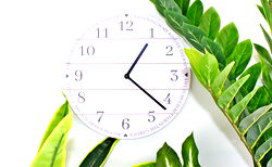 Potting Shed Clock in Rustic White Potting Shed Clock in Rustic White
