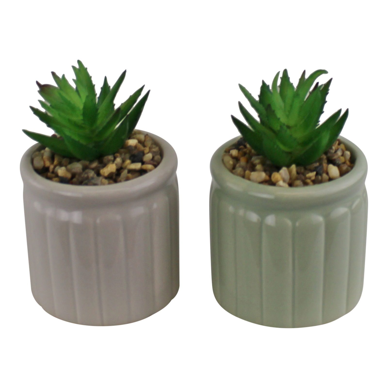 Set of Two Succulents In Ceramic Pots Set of Two Succulents In Ceramic Pots
