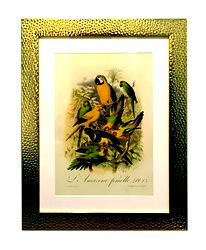 Beaten Gold Coloured Framed Bird Print - Parrots Beaten Gold Coloured Framed Bird Print - Parrots