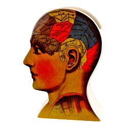 Ceramic Phrenology Head Vase Ceramic Phrenology Head Vase