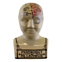 Large Ceramic Crackle Phrenology Head Large Ceramic Crackle Phrenology Head