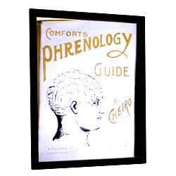Retro Mirrored Wall Sign, Phrenology Retro Mirrored Wall Sign, Phrenology