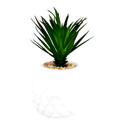 Succulent In Pineapple Shaped Pot Succulent In Pineapple Shaped Pot